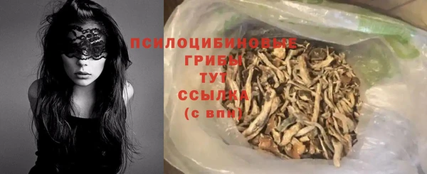 трава Карпинск