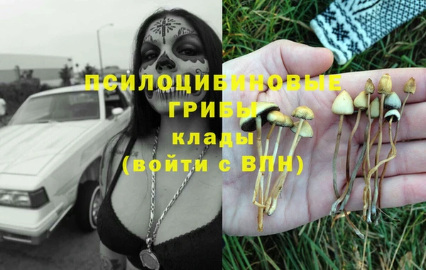 трава Карпинск