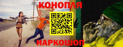 apvp Партизанск