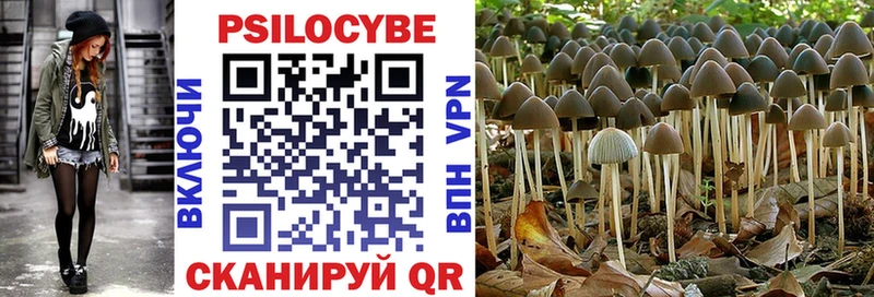 Галлюциногенные грибы Psilocybine cubensis Вологда