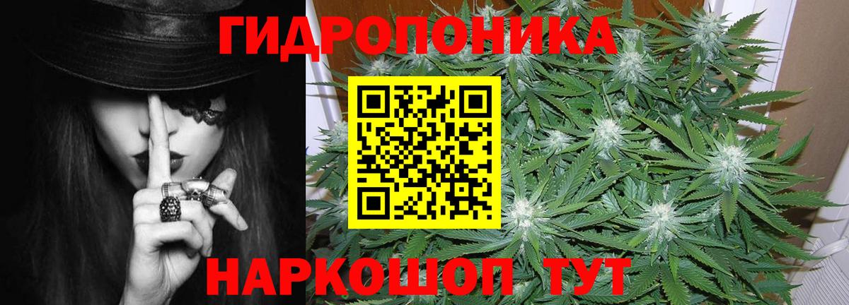 Шишки марихуана сатива  Канабис LSD WEED  Вологда  Вход с VPN  Канабис тримм 